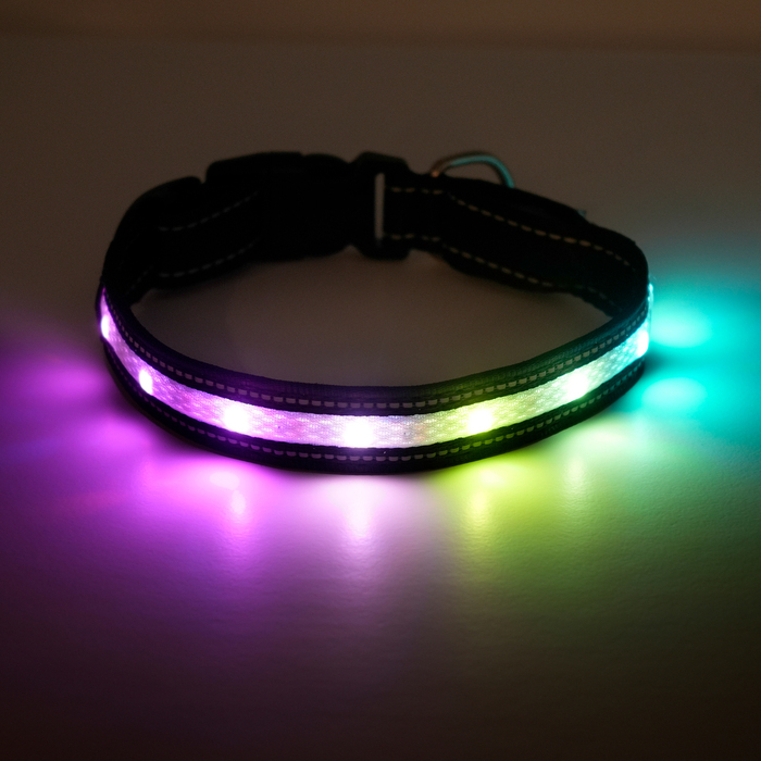 LED-halsband t/hund 45-47 cm Petzone